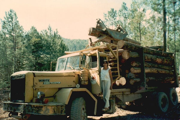 Beginning of Bulridge Limited