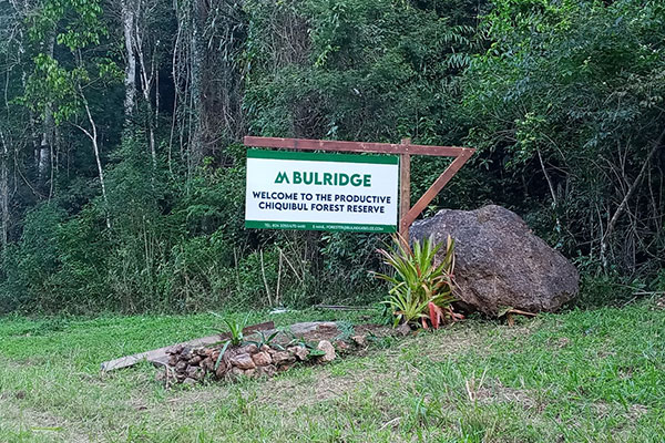 First LTFL in the Chiquibul Forest Reserve